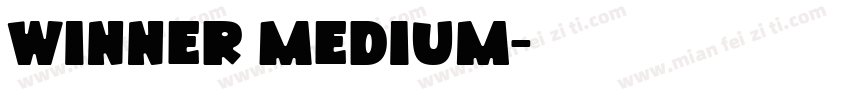 Winner Medium字体转换